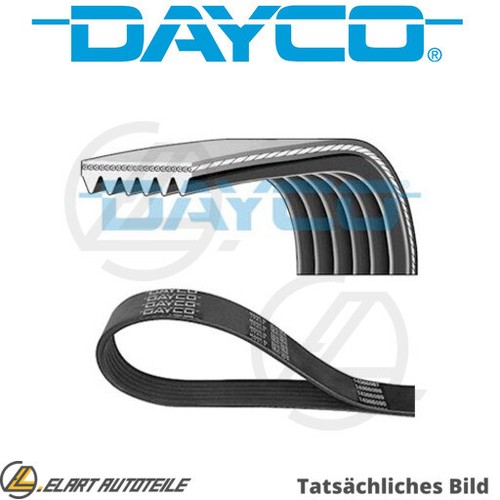 The ribbed belt for - the, mercedes