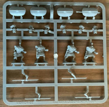 Roman Caesar's Legions with