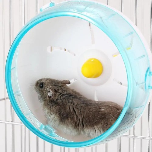 Hamster wheel non slip silent - hamster,