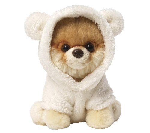 Boo the world cutest dog - boo,
