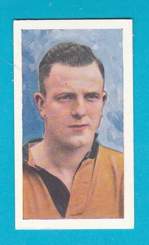 Celebrities sport card - sport,
