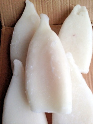 Frozen squid tubes - frozen, for