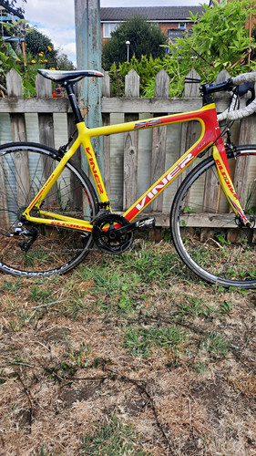 Viner gladius carbon - gladius, road