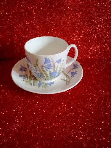 Vintage shelley scilla bone - ,