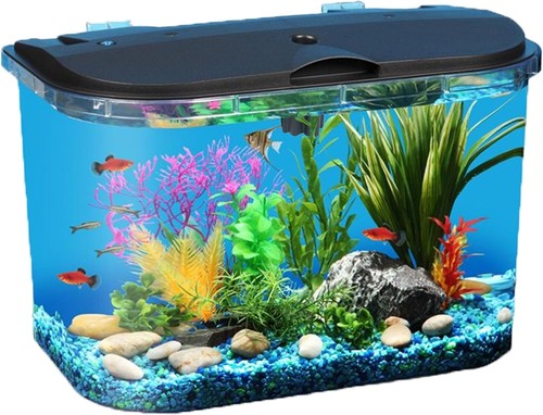 Gallon aquarium kit led - aquarium,