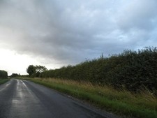 Photo 6x4 Aldbourne Road north