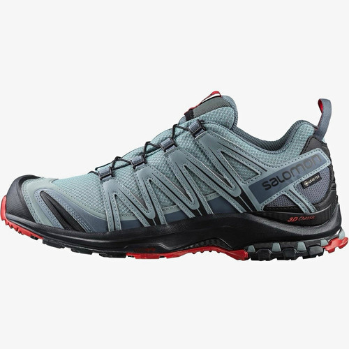 Salomon pro gtx gore - salomon, xa