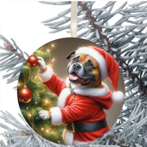 Staffordshire bull terrier dog - staffordshire,