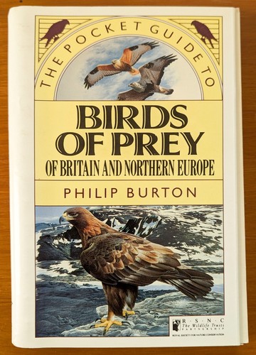 Birds prey britain - birds, of