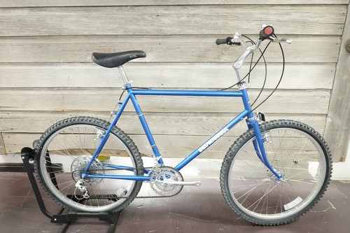 Vintage kuwahara survivor - vintage,
