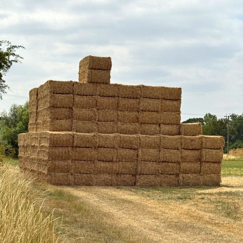 Rape straw for - , sale