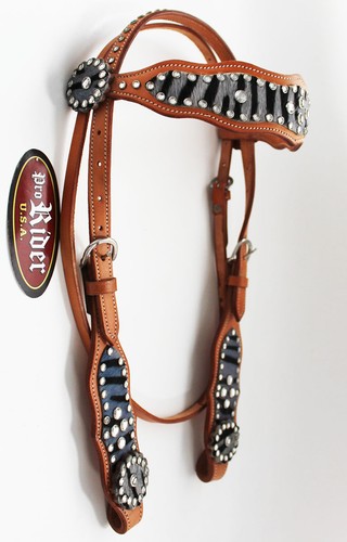 Horse show tack bridle - horse,