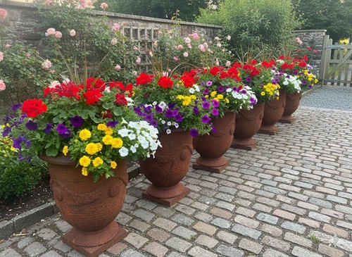 Cast iron garden urns - iron,