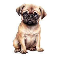 Pug Puppy Fur Baby Self