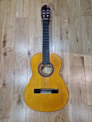 Valencia classical guitar 4 - valencia,