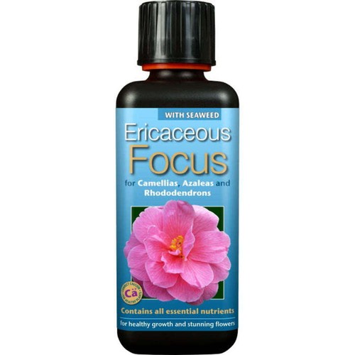 Ericaceous focus plant camelia - ericaceous,