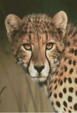 Cross Stitch Chart, Pattern