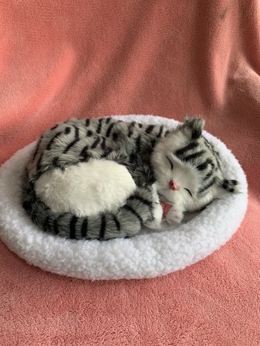 Realistic sleeping cat toy - cat,