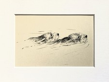Otterhound dogs vintage sketch print by KF Barker 1930s/40s - mounted