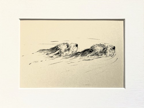 Otterhound dogs vintage sketch