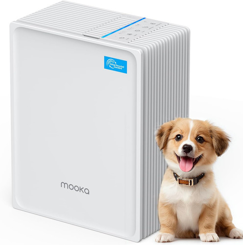 Air purifiers for home large - home,