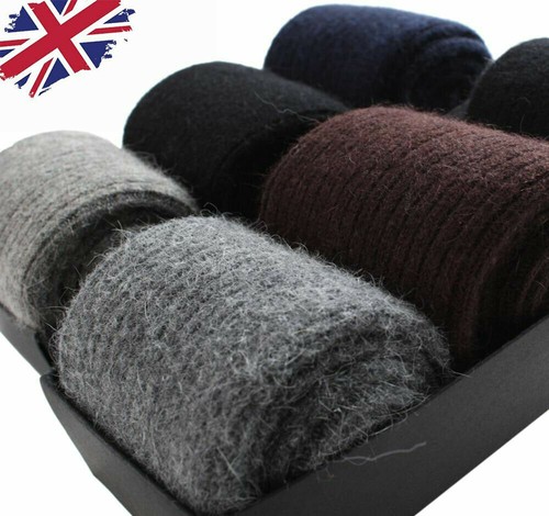 Pairs alpaca 100 - 3/6,