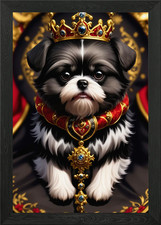 King Shih Tzu Puppy Framed