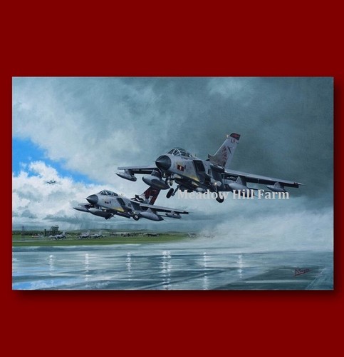 Fridge magnet raf tornado - fridge,