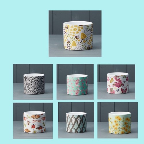 Ceramic pot flower plant - -,