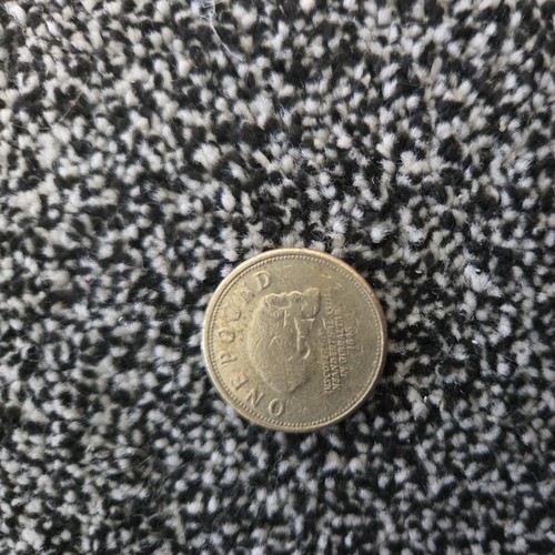 2010 one pound - £1, coin