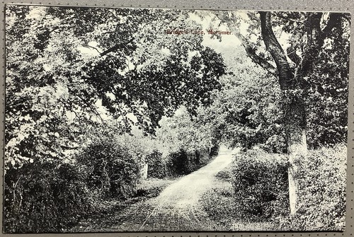 Bridge lane mortimer - bridge’s,