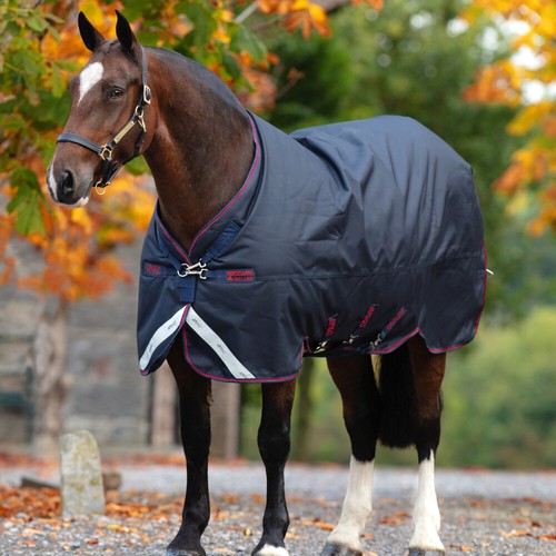 Horseware amigo bravo - horseware, xl