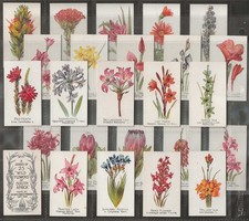 UTC (SOUTH AFRICA)-FULL SET-