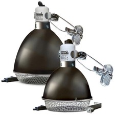 Arcadia Clamp Lamps with