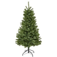 5ft evergreen fir - 5ft,