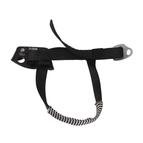 Arborist tree climbing - arborist,