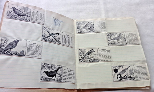 Scrap book full - book,