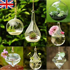 Hanging Glass Ball Vase Plant Flower Pot Terrarium Container Party Wedding Decor