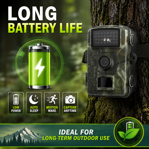 Wildlife trail camera - wildlife, low
