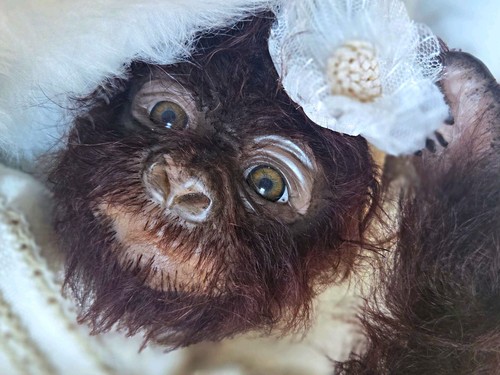 Reborn monkey baby girl - monkey, disc