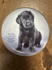 Danbury Mint Black Labrador Pawprints On My Heart 22ct Gold Accents Plate 20cm