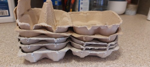 Empty cardboard egg - empty, boxes