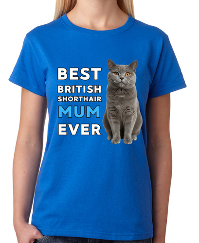 Best british shorthair mum - best,