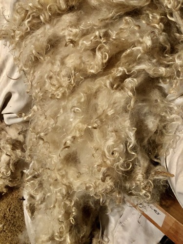 2oz raw angora goat mohair - angora,
