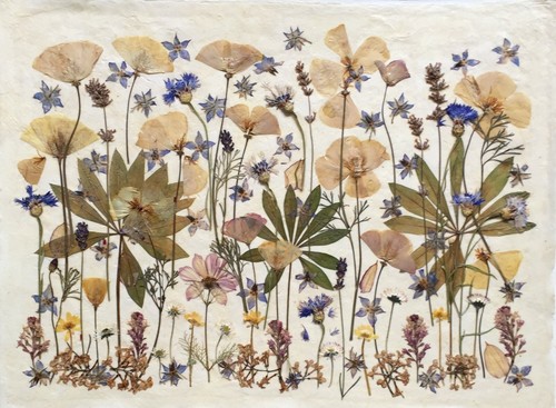 Pressed flower collage - flower,