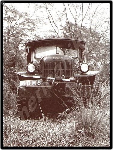 Dodge truck power wagon in - dodge,