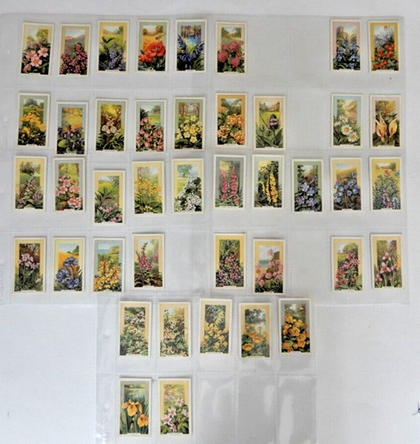 Gallaher cigarette cards - gallaher,