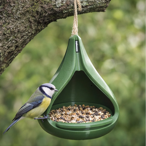 Made hanging bird - made,