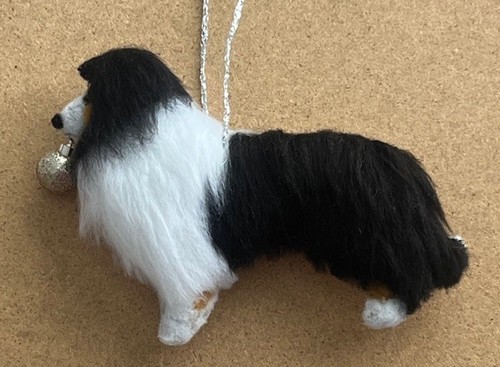 Tri shetland sheepdog collie - /,