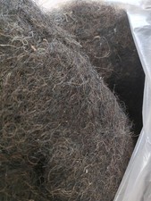 100% Natural Horsehair – Untreated, Unmixed